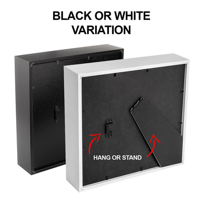 Le Mans staza - 3D okvir: France